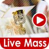 Catholic Masses Streamed/Broadcast Online